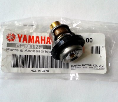 Thermostat DT/RD80LC/LC2